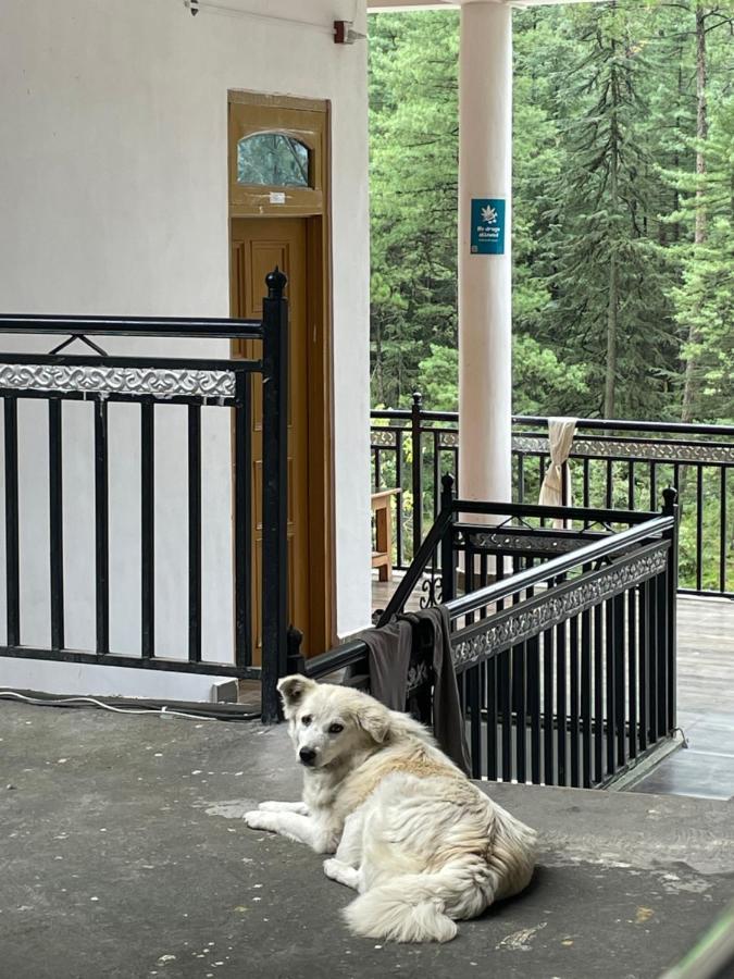 Wabi Sabi Riverside Hostel Kasol Εξωτερικό φωτογραφία